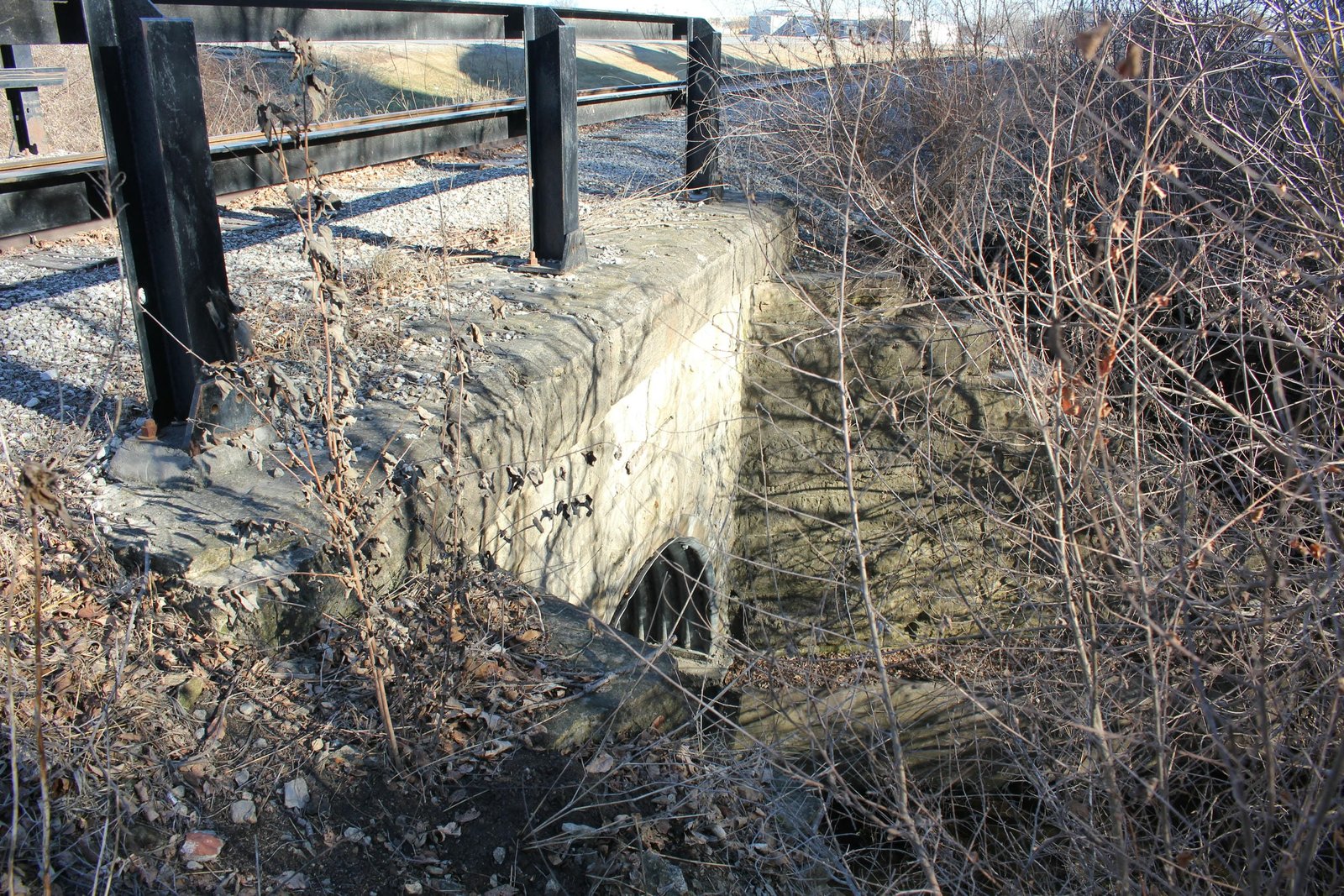 Looking north